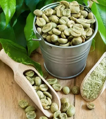 organic green coffee beans 500x500