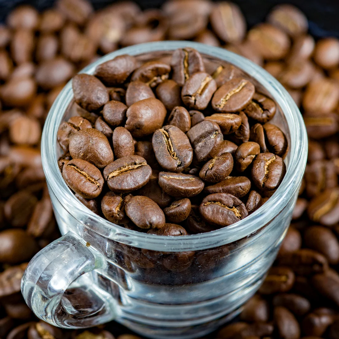 what are arabica beans